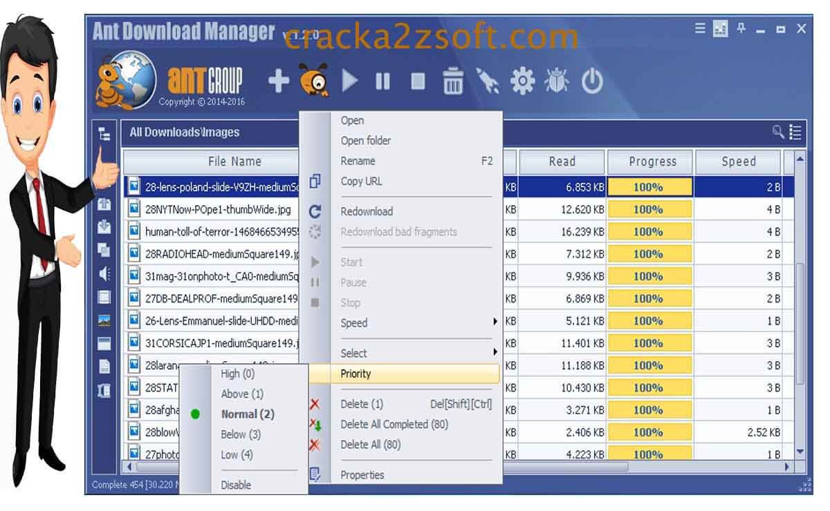 Ant Download Manager Pro crack screenhot