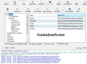 Havij Pro Cracked screenshot
