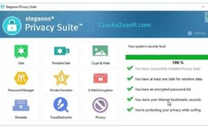 Steganos Privacy Suite 22 Crack screenshot