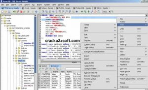 RazorSQL Crack screenhsot